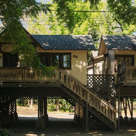 Johnson'S Beach Cabins And Campground Guerneville Exteriör bild