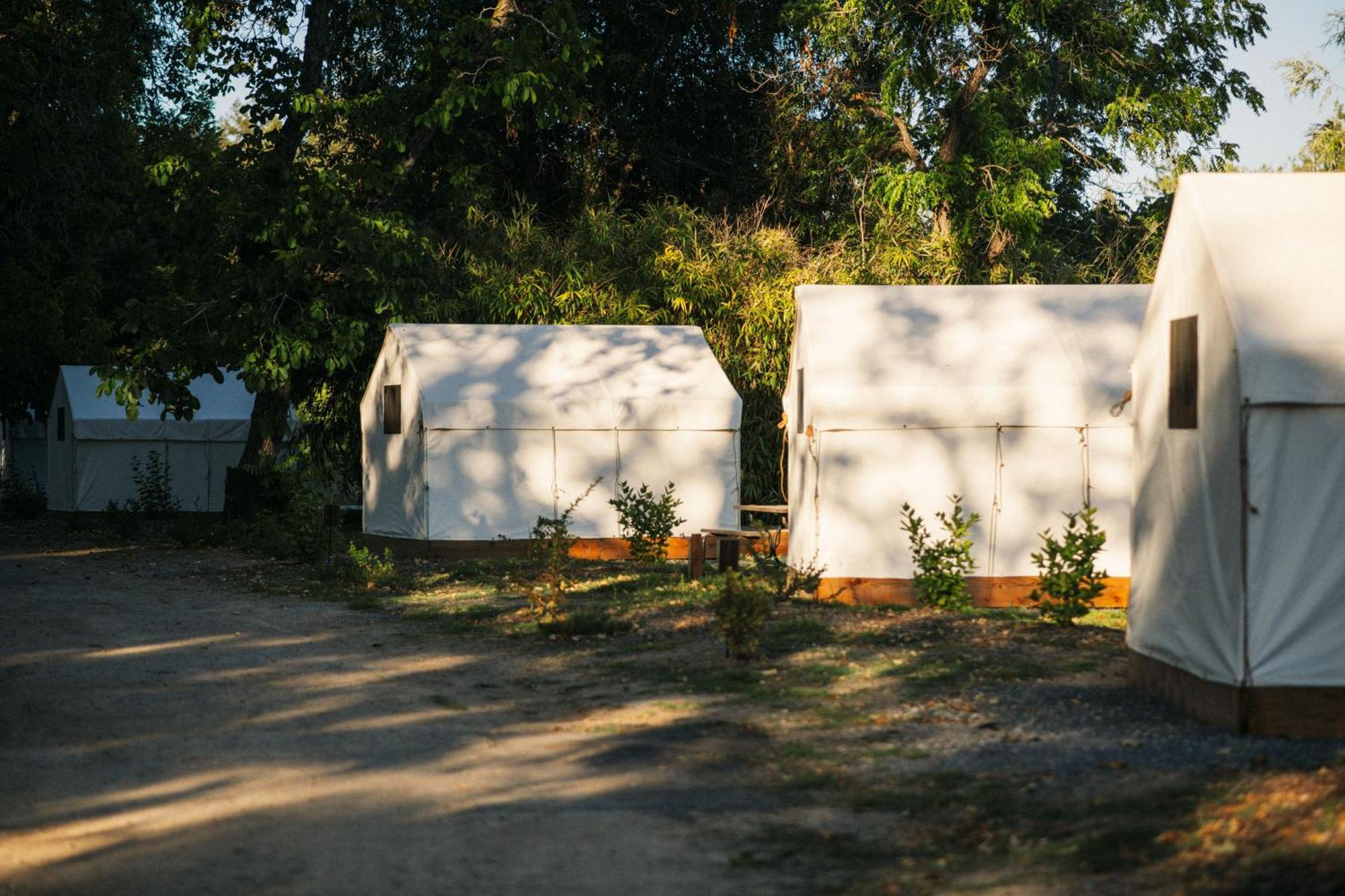 Johnson'S Beach Cabins And Campground Guerneville Exteriör bild