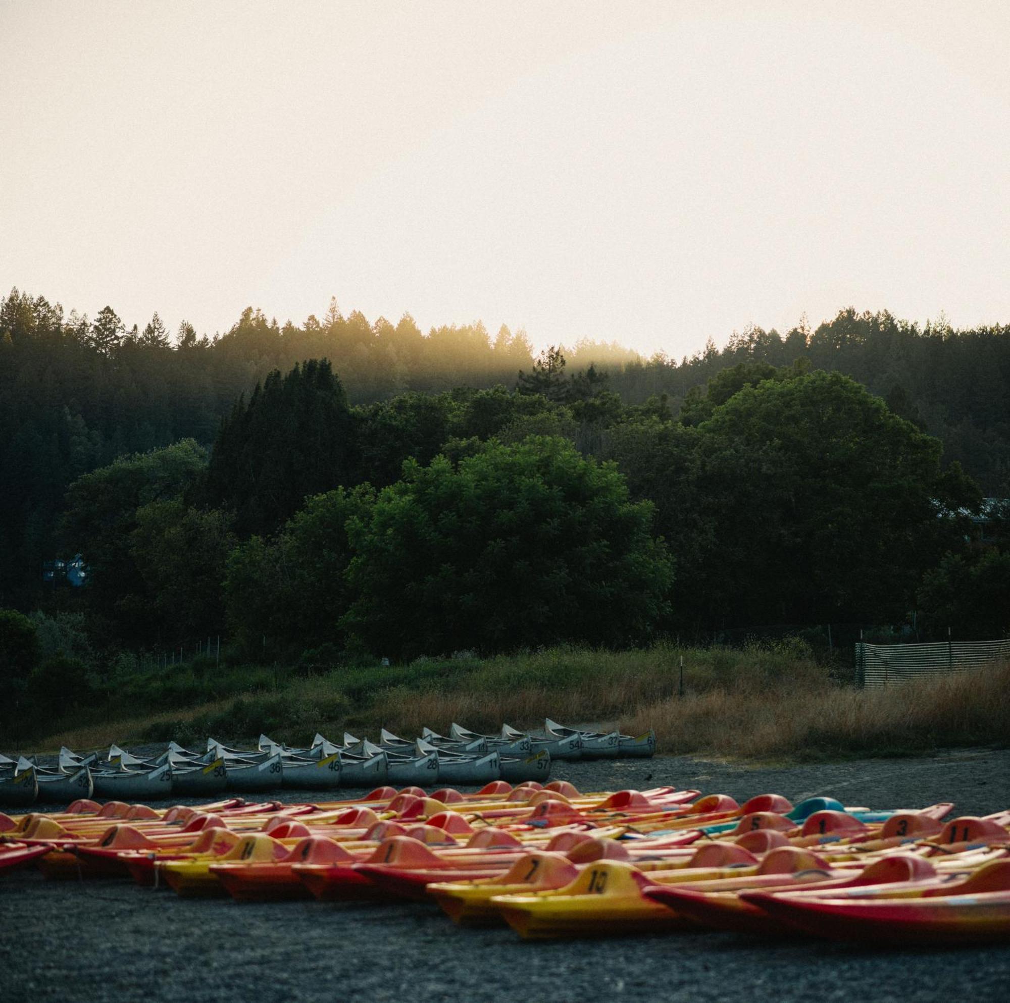 Johnson'S Beach Cabins And Campground Guerneville Exteriör bild